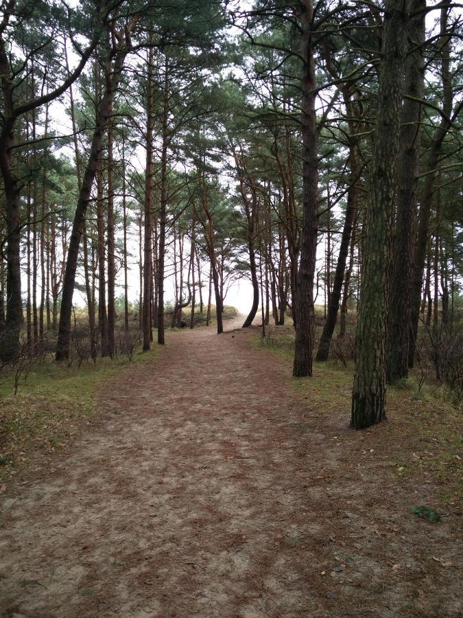 Ferienwohnung Am Kustenwald Trassenheide Eksteriør billede